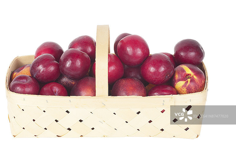 23572912图片素材