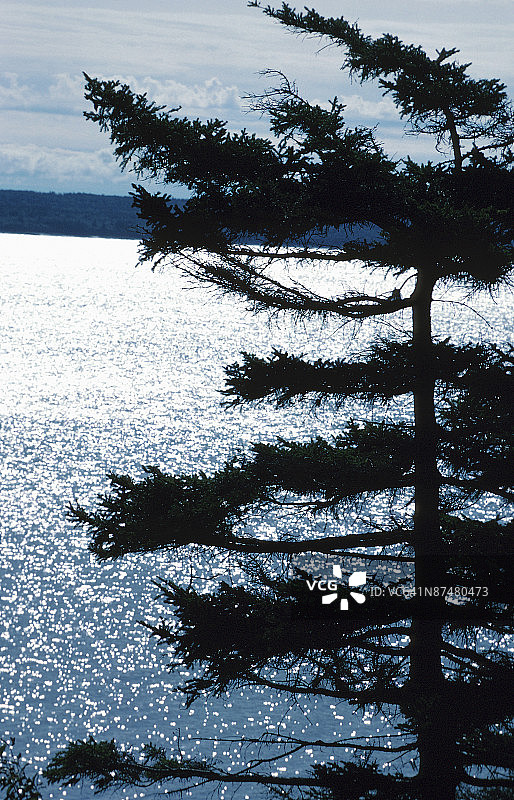 23935579图片素材