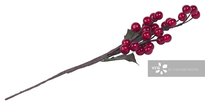 23582939图片素材