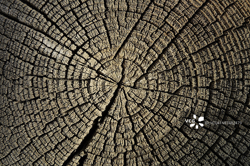 斑驳的木纹图片素材