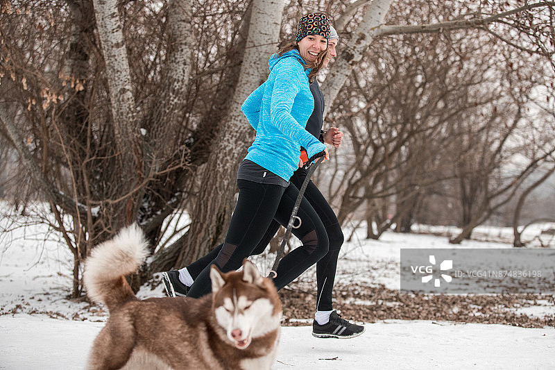 冬天和狗一起跑步图片素材