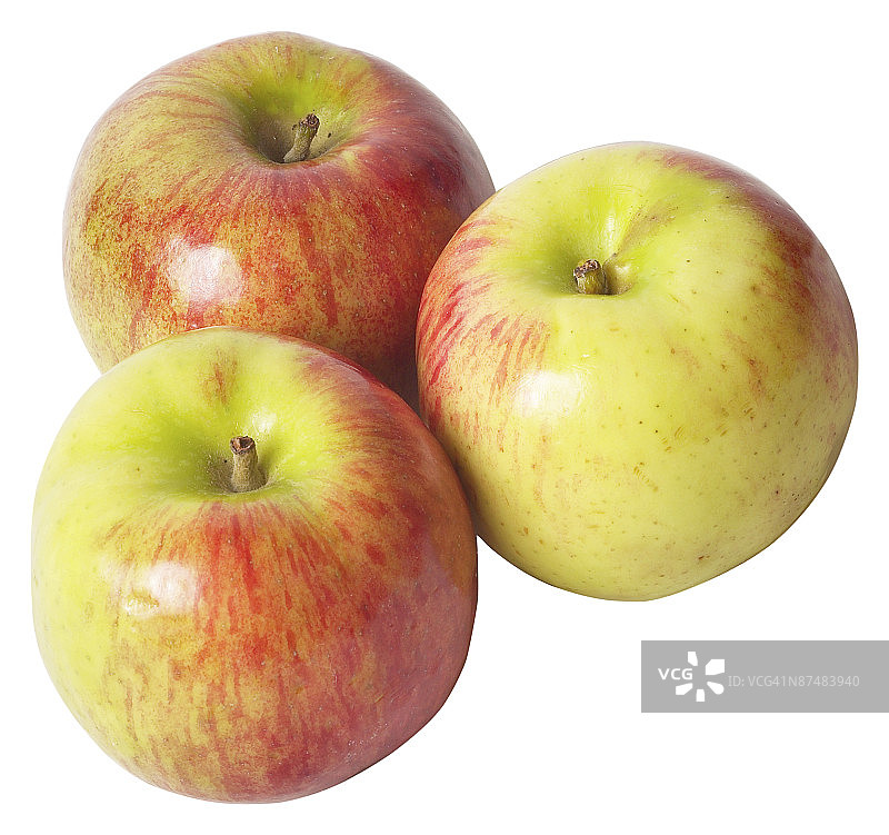 23573152图片素材