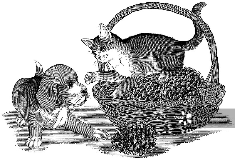 LiquidLibrary图片素材