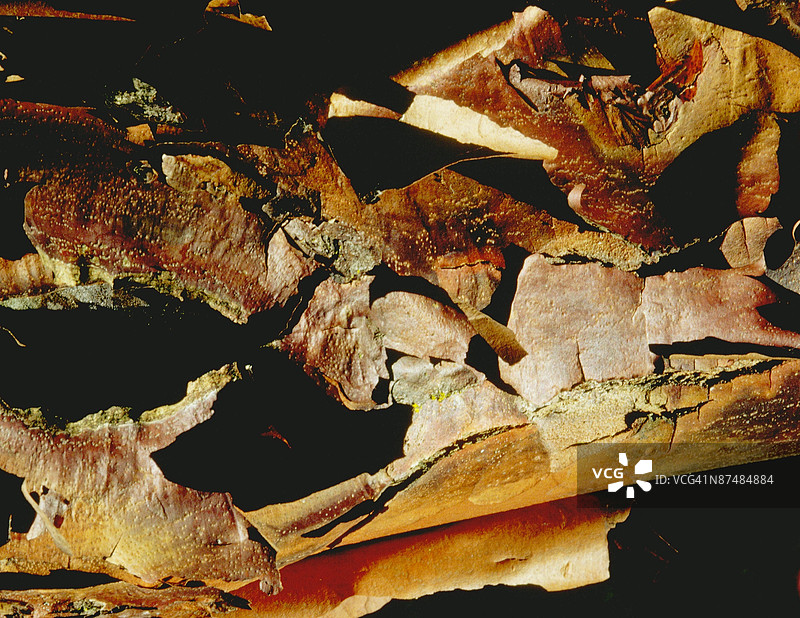 24102980图片素材