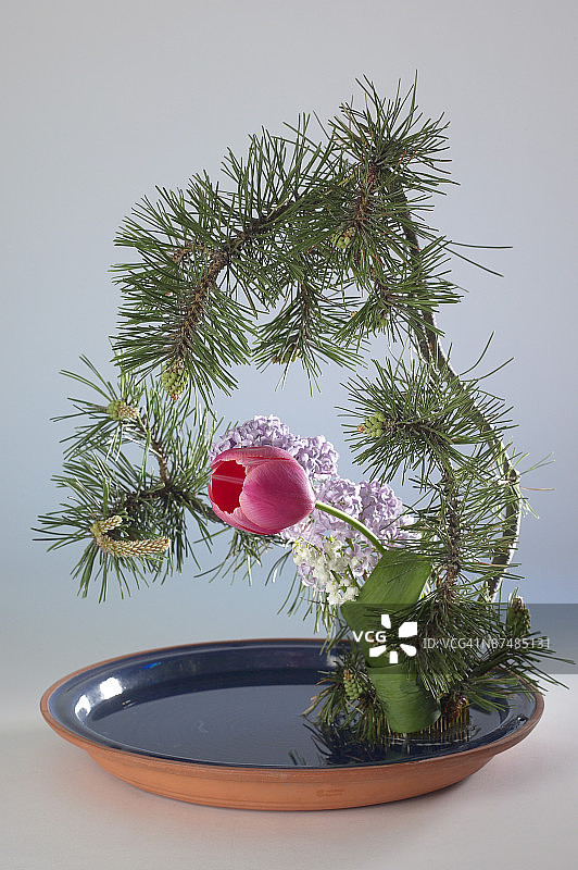 菜肴中的花卉布置图片素材