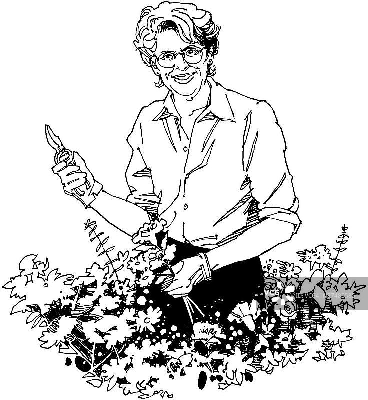 LiquidLibrary图片素材