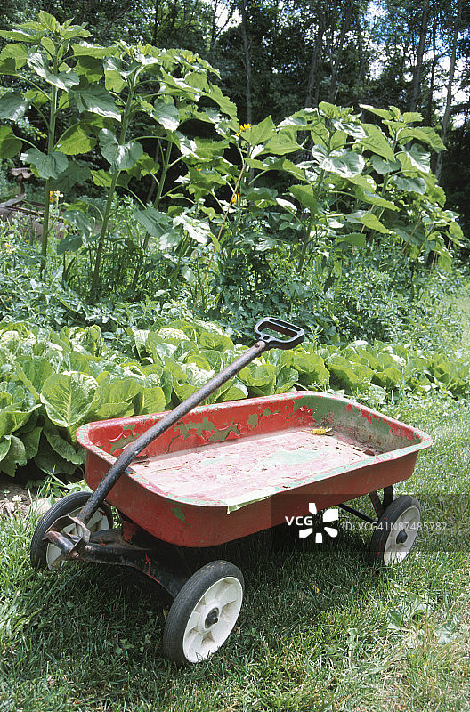 红色小货车图片素材