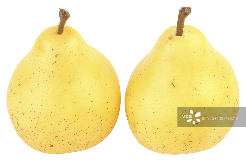 23650262图片素材