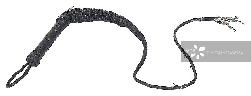 23656447图片素材