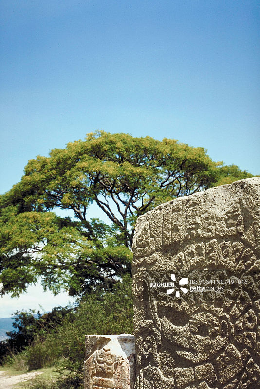 23873188图片素材