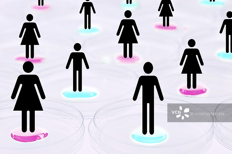 生物性别概念图片素材