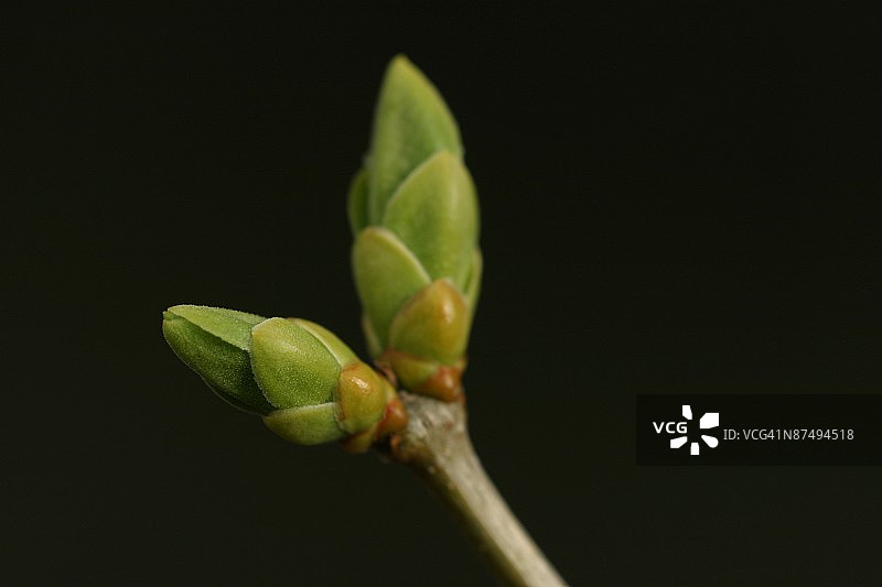 24072115图片素材