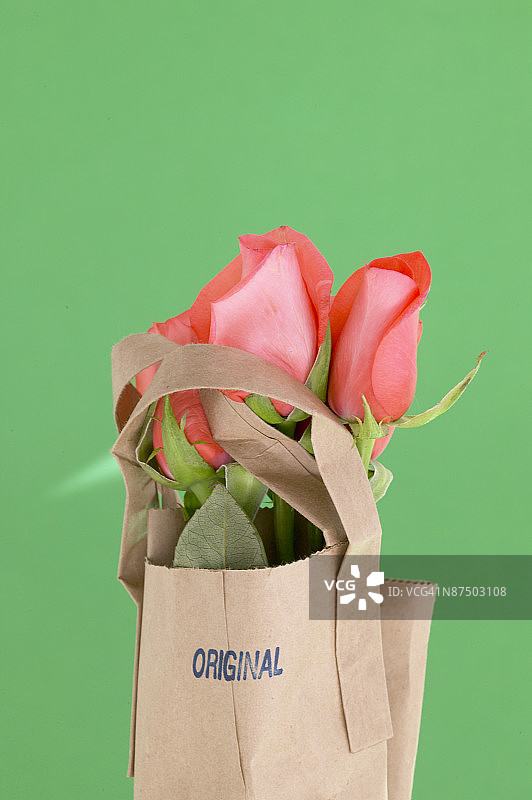 编号：24138118图片素材