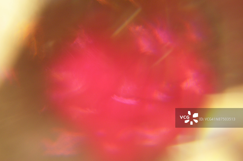 红色抽象艺术图片素材