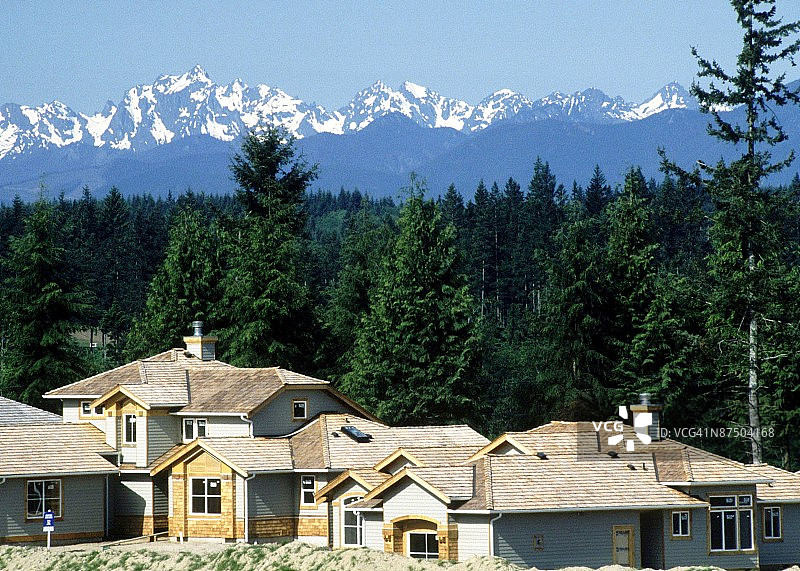 24119509图片素材