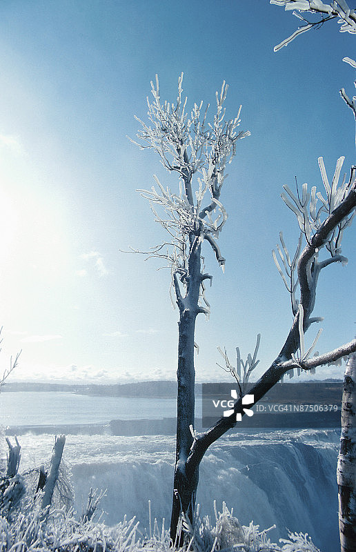 加拿大魁北克瀑布旁的冰封树木图片素材