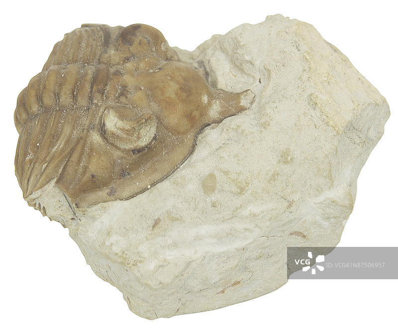 23646315图片素材