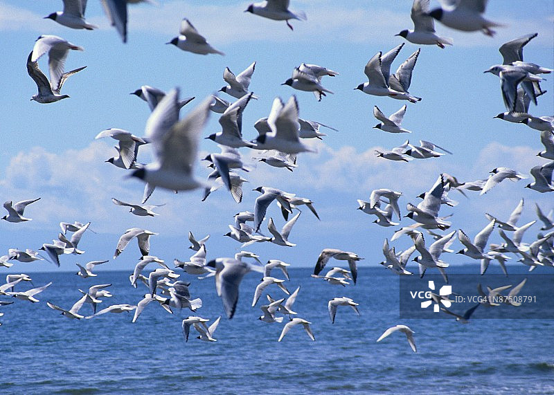 24112245图片素材