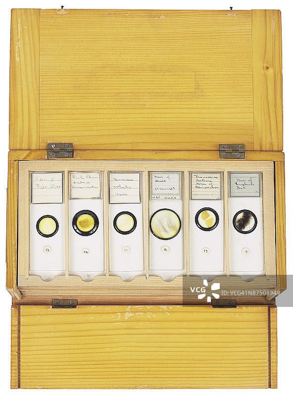 23646574图片素材