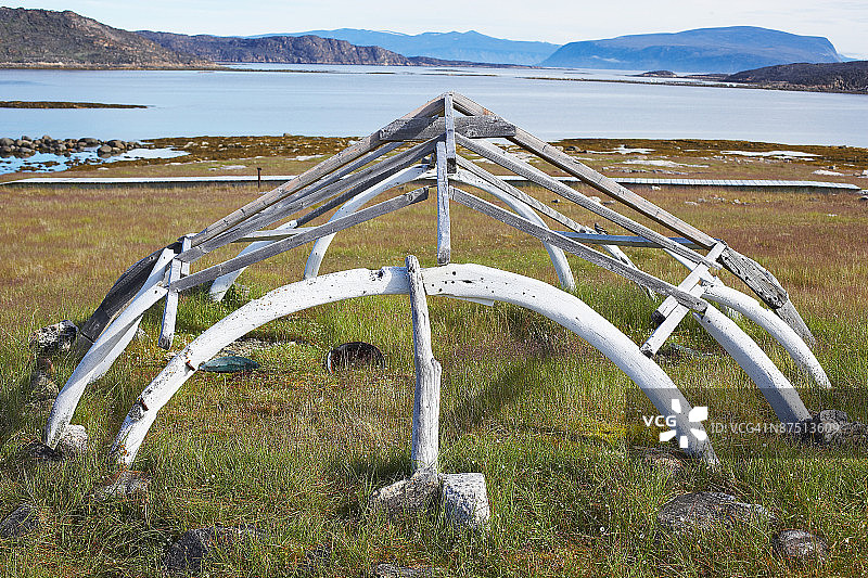 树枝和鲸骨的船框架图片素材