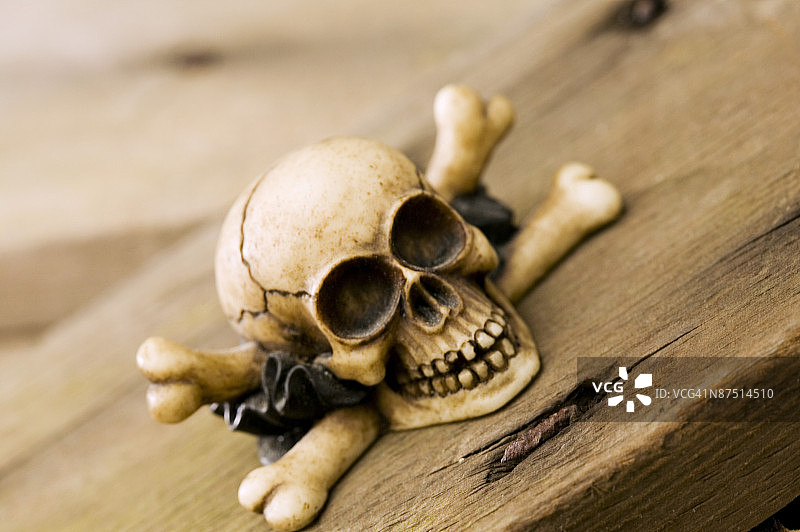 木板上的迷你骷髅和交叉骨图片素材