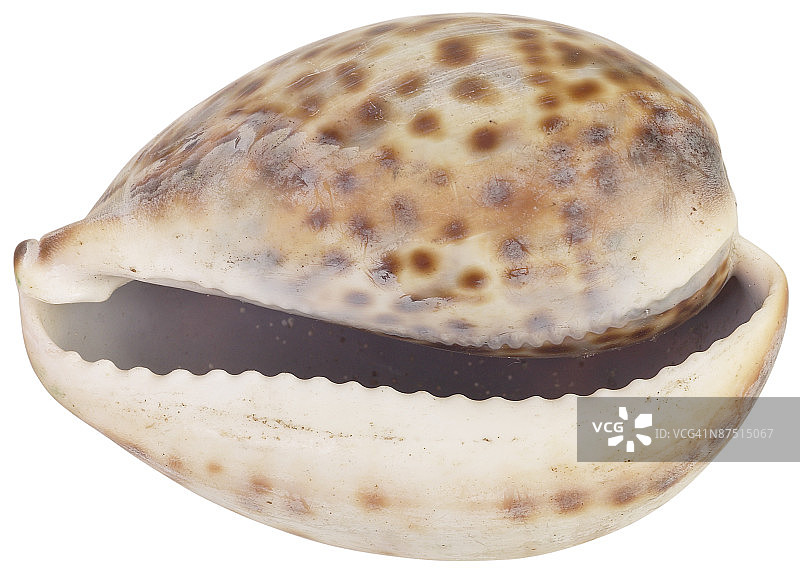 23598695图片素材