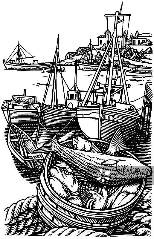 LiquidLibrary图片素材