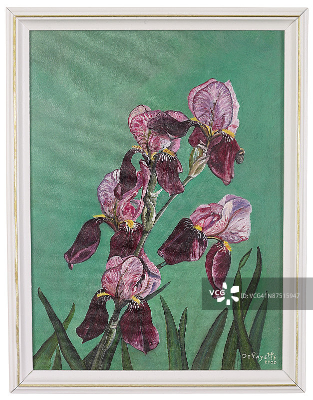 23598854图片素材