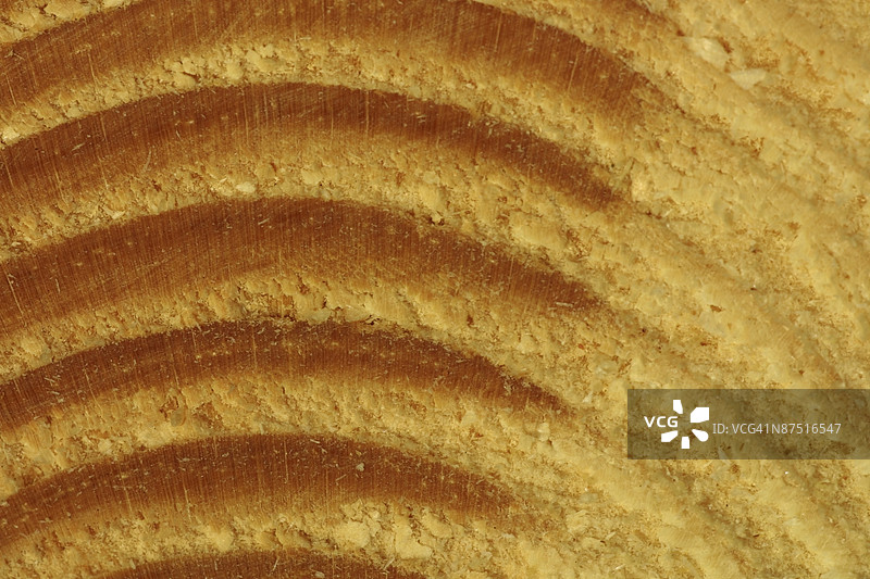 密集的木柴图片素材