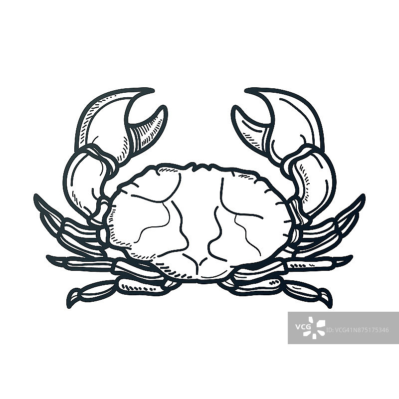 蟹图片素材