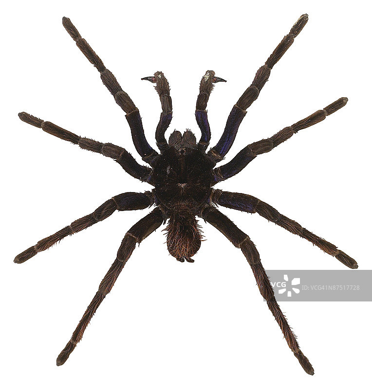 23599166图片素材