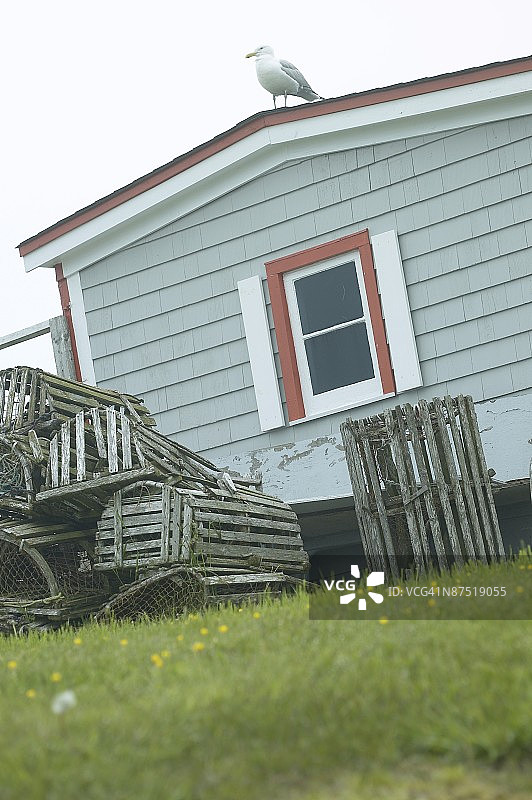 草地上的房子图片素材