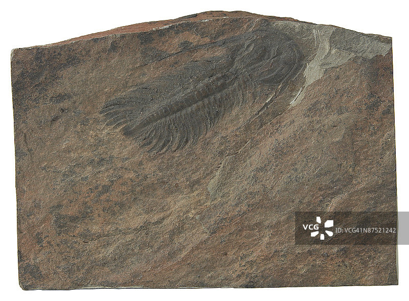 23646371图片素材