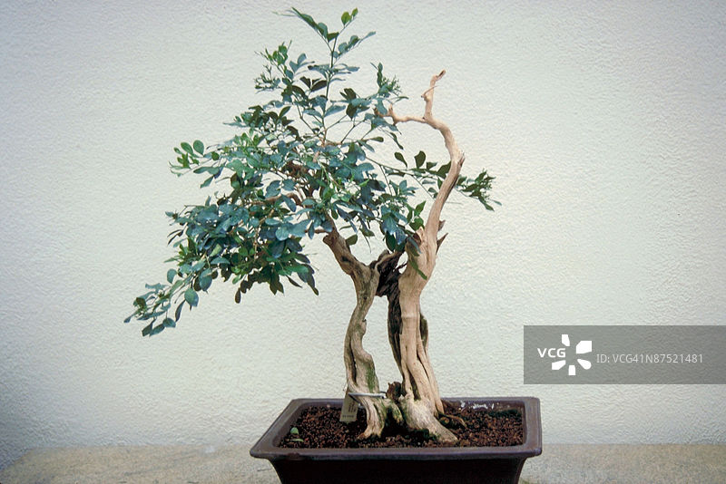 23893974图片素材