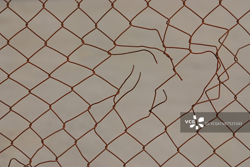 24070864图片素材