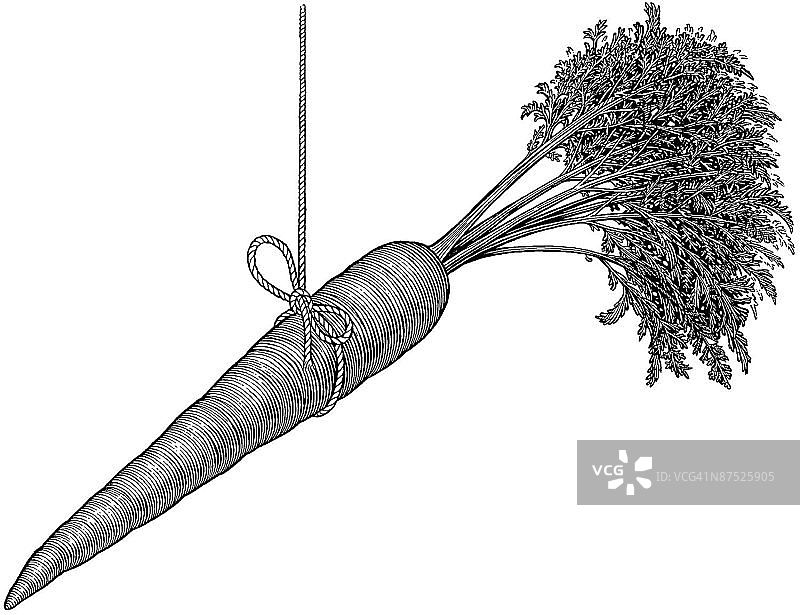 LiquidLibrary图片素材