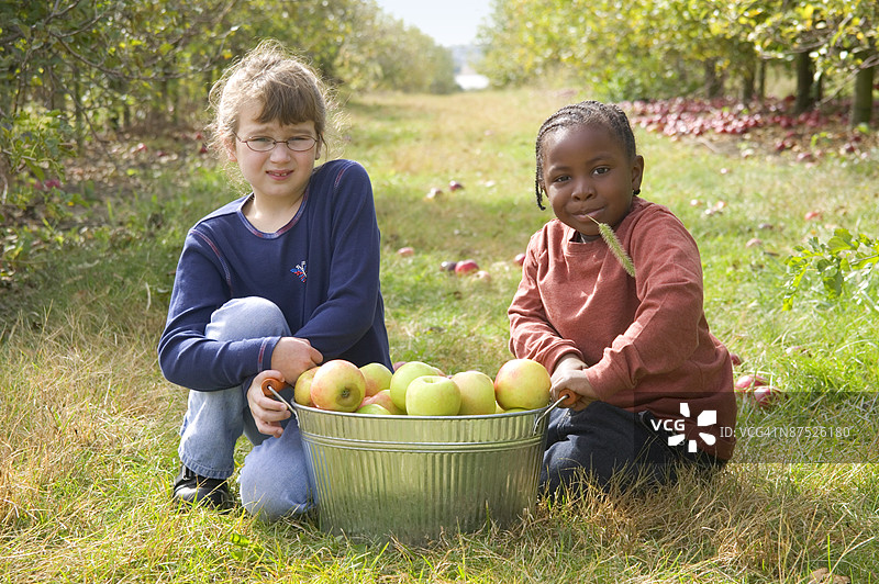 孩子们坐在田野里，旁边有一篮苹果图片素材