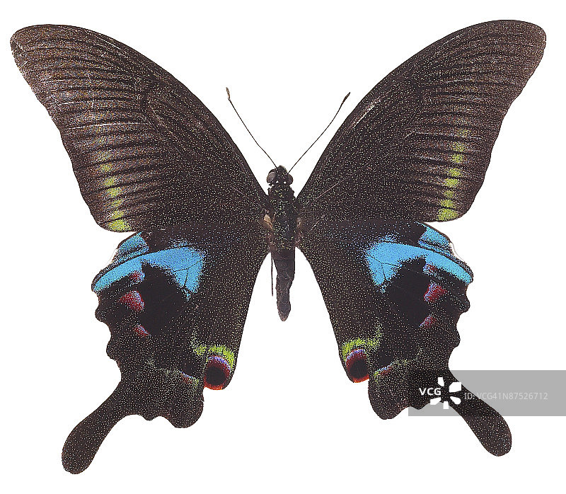 23610268图片素材