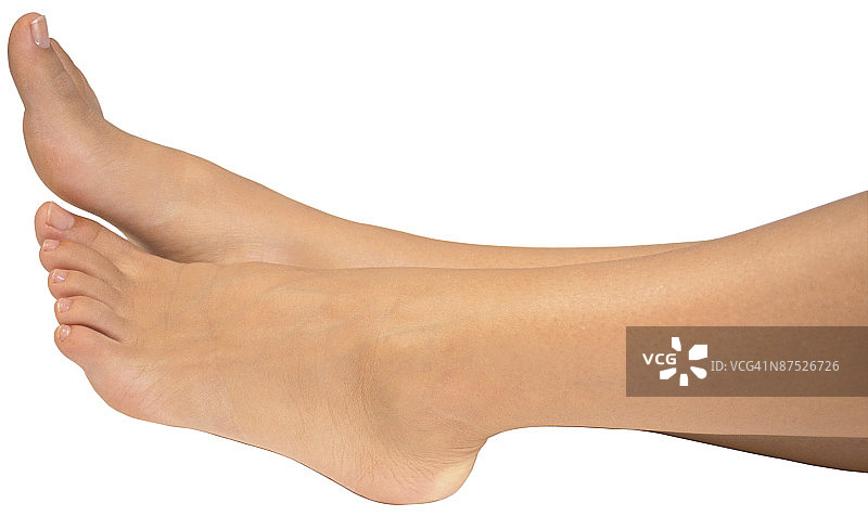 23805544图片素材