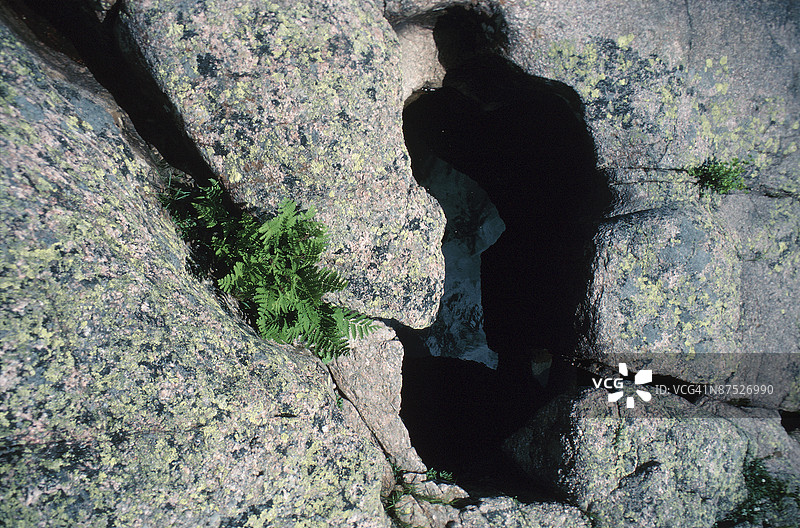 岩石上的洞口旁生长的植物图片素材
