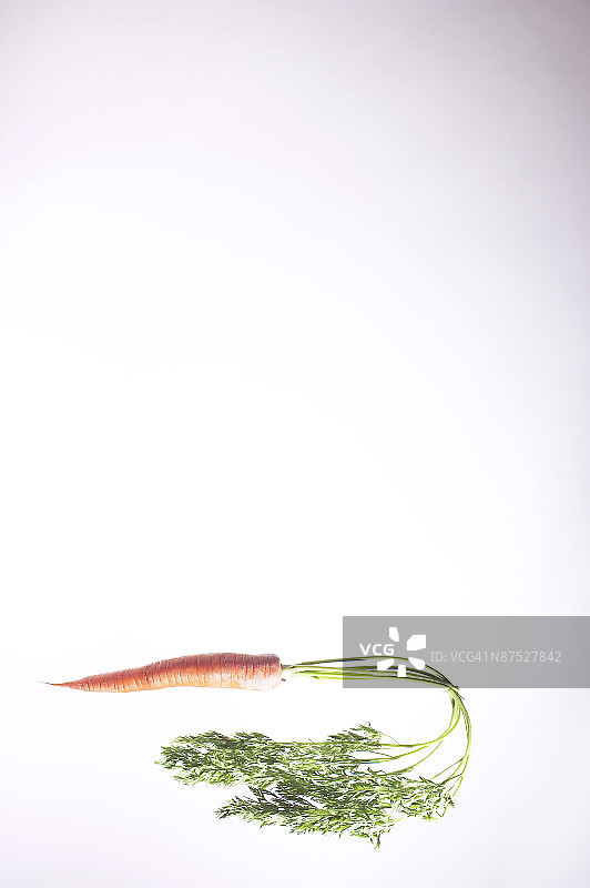 胡萝卜图片素材