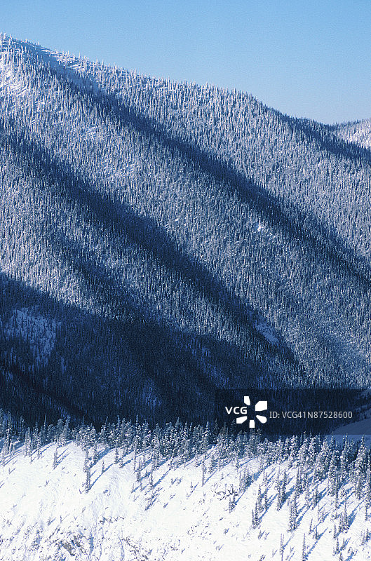 23935911图片素材