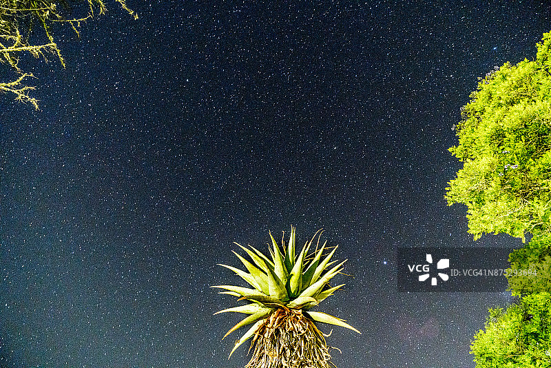 南非南部半球的夜空与银河图片素材