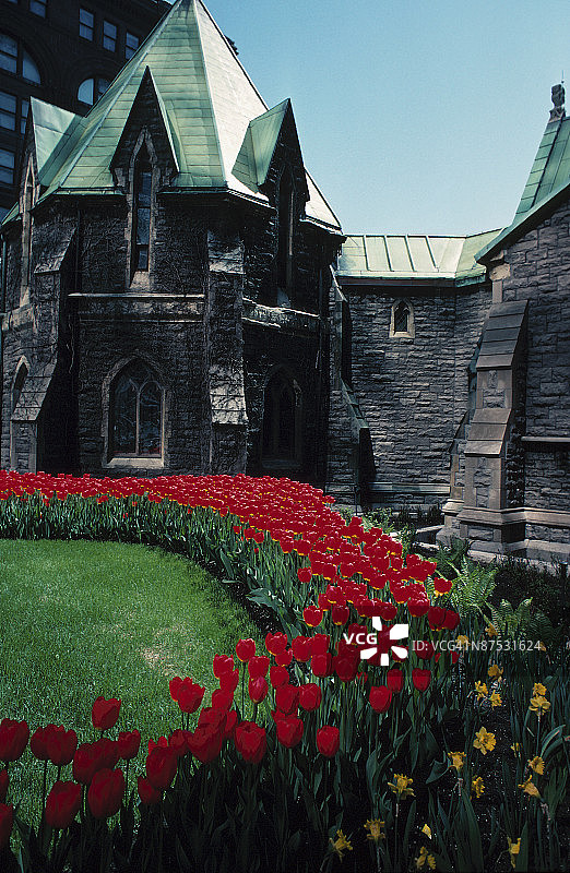加拿大蒙特利尔的教堂与园景花园图片素材