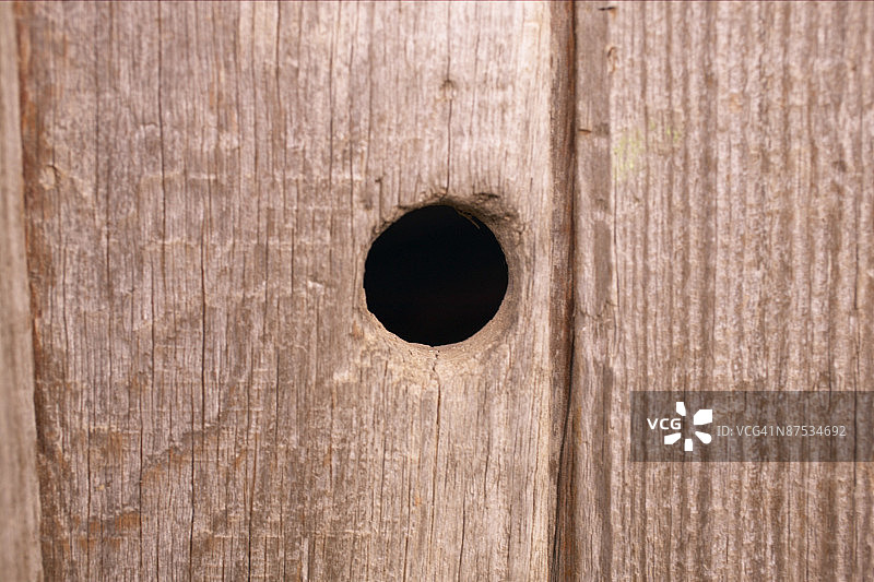 木柱上的孔洞图片素材