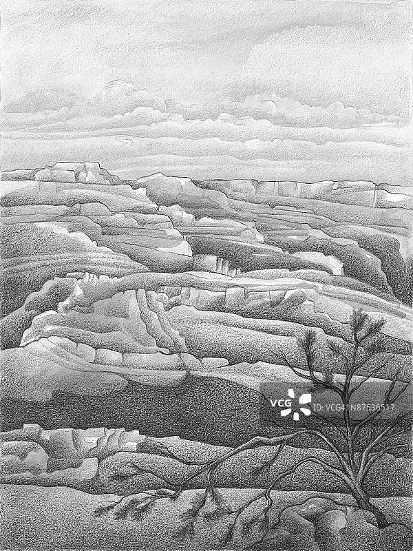 高角度视野下的树木生长图片素材