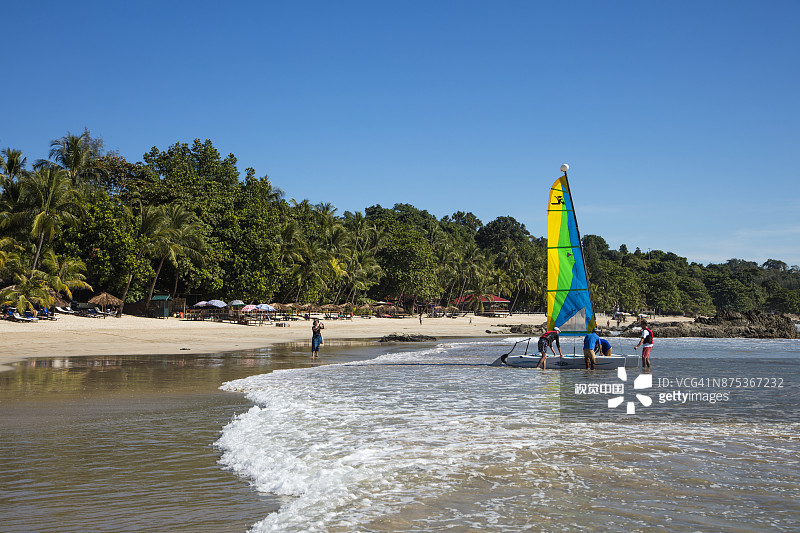 缅甸额布里海滩度假村的霍比猫图片素材