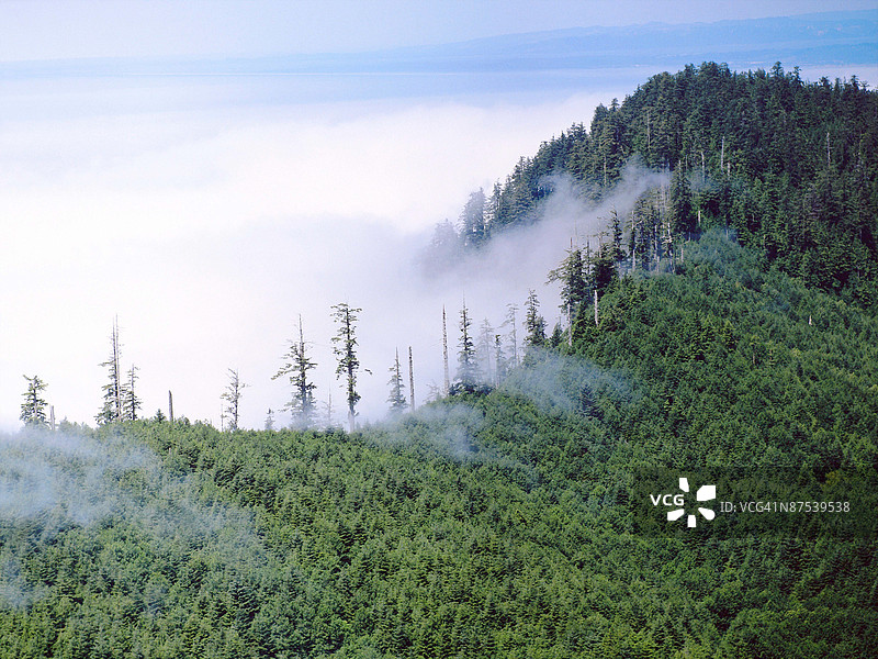 24122137图片素材