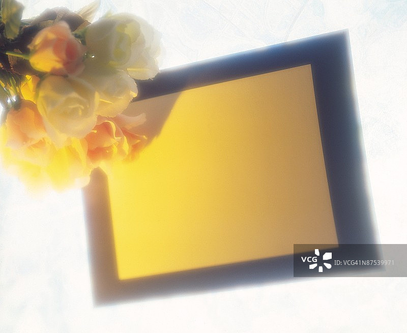 花卉和牌匾图片素材