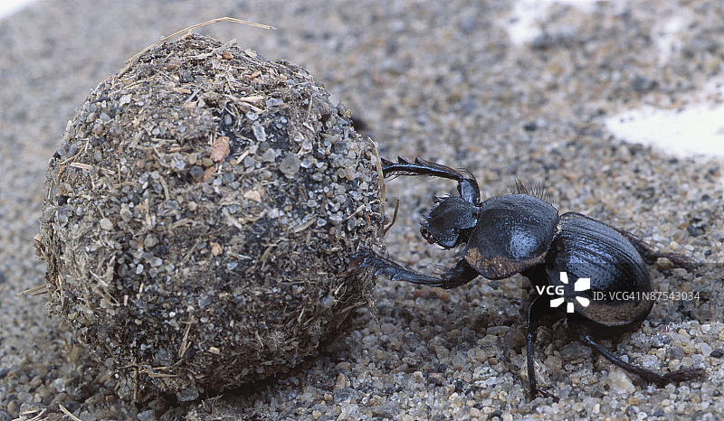 23777753图片素材